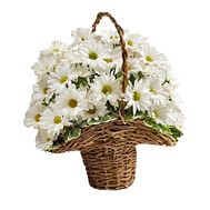 Basket of flowers from 9 chrysanthemums