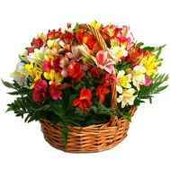 Basket of flowers from 25 alstroemerias