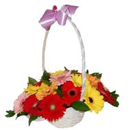 Basket of 17 gerberas flowers
