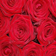 Щоб вибрати кількість троянд натисніть на фото