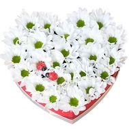 A composition of 7 white chrysanthemums