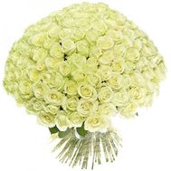 Букет из 201 белой розы