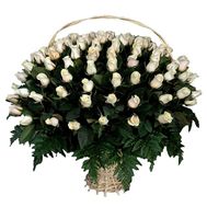 Огромная корзина из 101 белой импортной розы