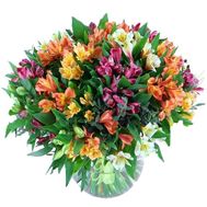 Букет из 55 альстромерии