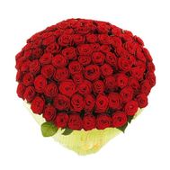 Большой букет роз из 151 красной розы