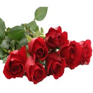Bouquet of 7 red imported roses
