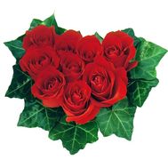 Heart of 7 red roses