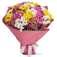 Букет цветов 25 ромашковидных хризантем