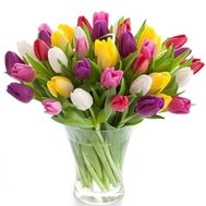 Букет из 61 тюльпана