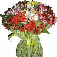 35 альстрмоерий