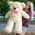 Teddy bear toy 1 meter Teddy bear toy 1 meter