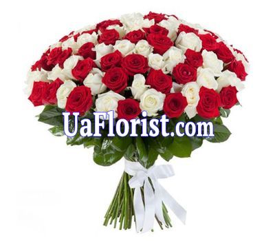 101 red and white rose 101 red and white rose