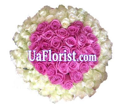 101 rose heart 101 rose heart