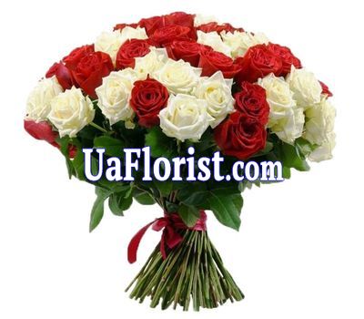 Red and white bouquet of roses Red and white bouquet of roses