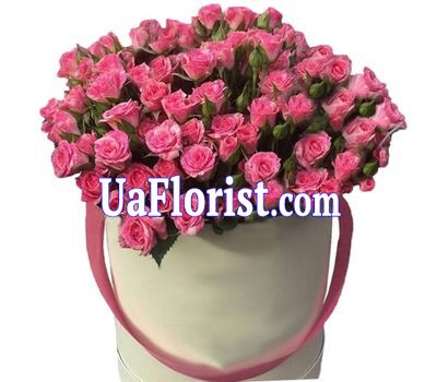 25 pink bush roses in the box