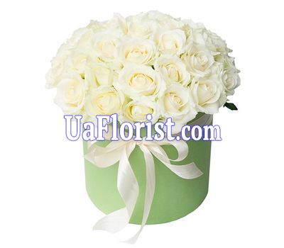 31 white rose in the box 31 white rose in the box