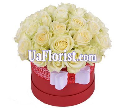 35 white roses in the box 35 white roses in the box