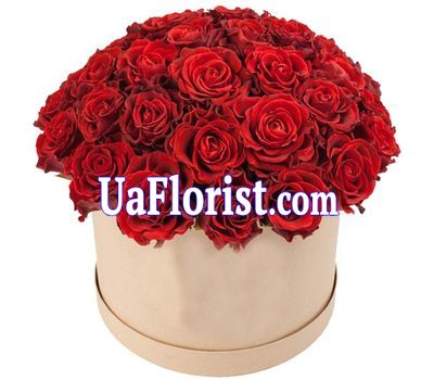 Charming roses in the box Charming roses in the box