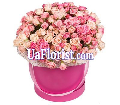 A box of bush roses A box of bush roses