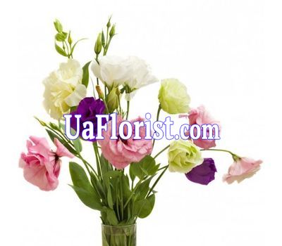 Маленький букет эустом Маленький букет эустом