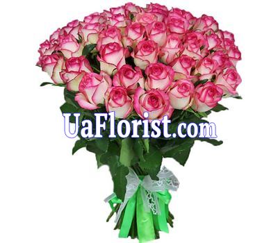 51 розовая роза Джумилия 51 розовая роза Джумилия