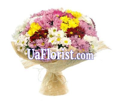 Bouquet of 23 chrysanthemums Bouquet of 23 chrysanthemums
