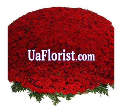 Огромный букет цветов из 1001 красной розы Огромный букет цветов из 1001 красной розы