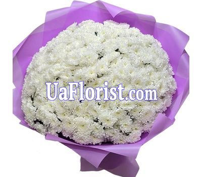 Букет из 101 белой хризантемы