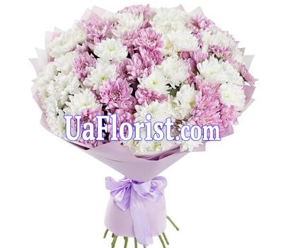 Bouquet of 17 colorful chrysanthemums Bouquet of 17 colorful chrysanthemums