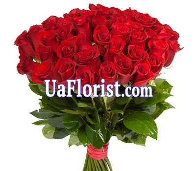 Букет из 55 красных импортных роз Букет из 55 красных импортных роз