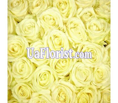 To select the number of roses, click on the photo
