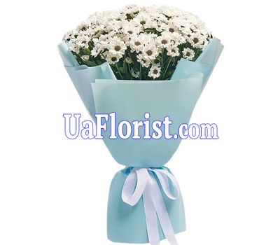 Букет цветов 11 ромашковидных хризантем Букет цветов 11 ромашковидных хризантем