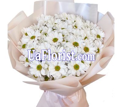 Bouquet of flowers 9 chamomile chrysanthemums Bouquet of flowers 9 chamomile chrysanthemums