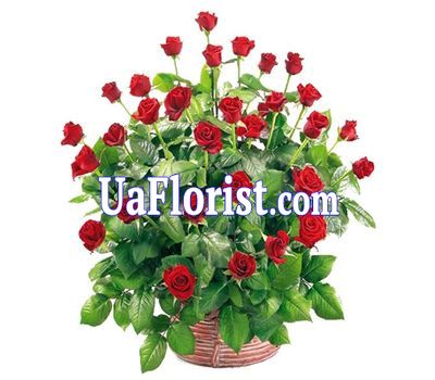 Корзина из 45 роз Корзина из 45 роз