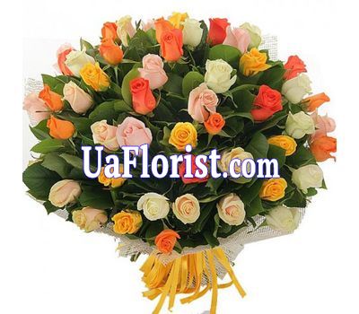 51 multicolored rose