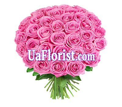 41 розовая роза