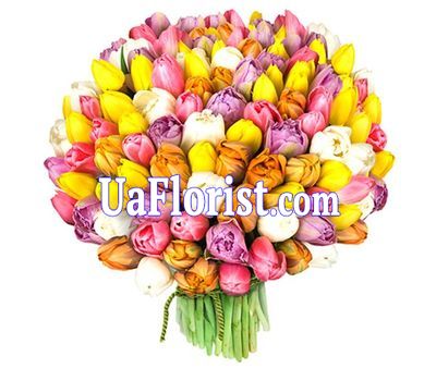 Шикарный букет из 101 тюльпана Шикарный букет из 101 тюльпана