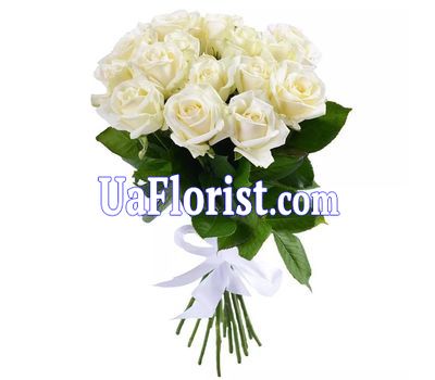 19 белых роз 19 белых роз