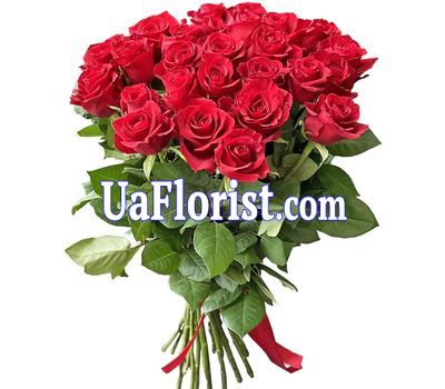 29 red roses 29 red roses