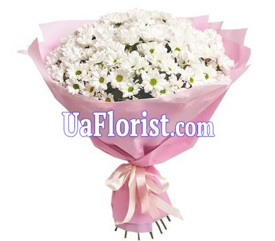 Bouquet of flowers 15 chamomile (chamomile chrysanthemums) Bouquet of flowers 15 chamomile (chamomile chrysanthemums)