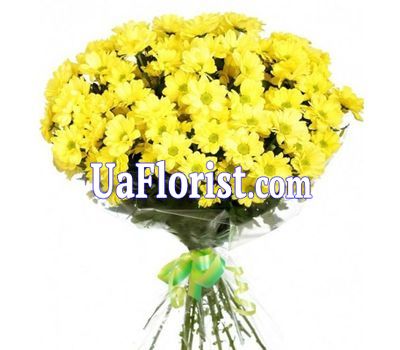 Bouquet of flowers from 13 chrysanthemums Bouquet of flowers from 13 chrysanthemums