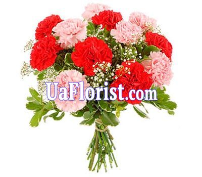 Bouquet of flowers from 11 carnations Bouquet of flowers from 11 carnations