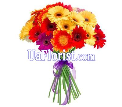 Букет из 19 гербер Букет из 19 гербер