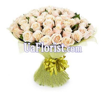 61 cream rose 61 cream rose