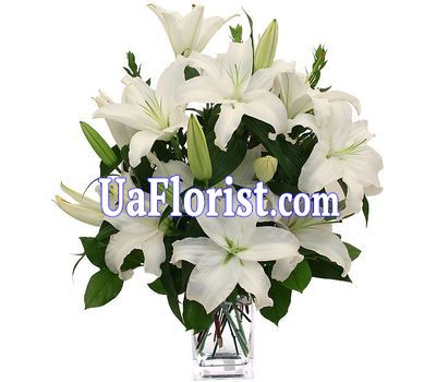 Bouquet of 9 lilies of flowers Bouquet of 9 lilies of flowers