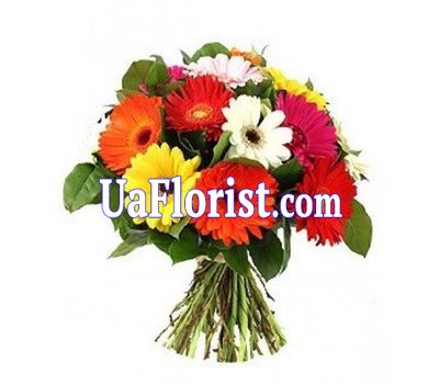 Букет квітів з 15 гербер Букет квітів з 15 гербер