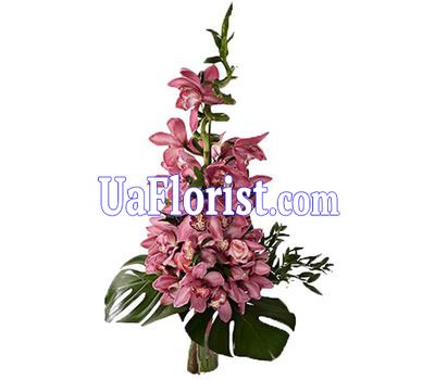 A bunch of orchid flowers A bunch of orchid flowers