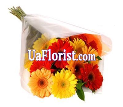 A bouquet of 13 gerberas flowers A bouquet of 13 gerberas flowers