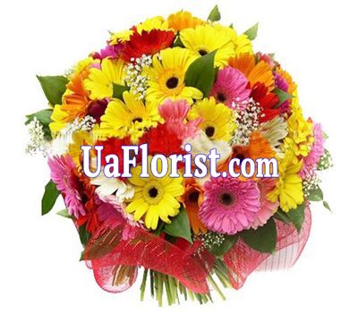 Букет квітів з 45 гербер Букет квітів з 45 гербер