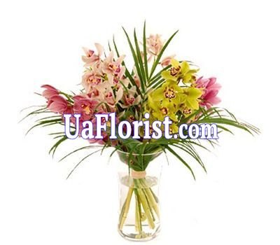 A bunch of orchid flowers A bunch of orchid flowers